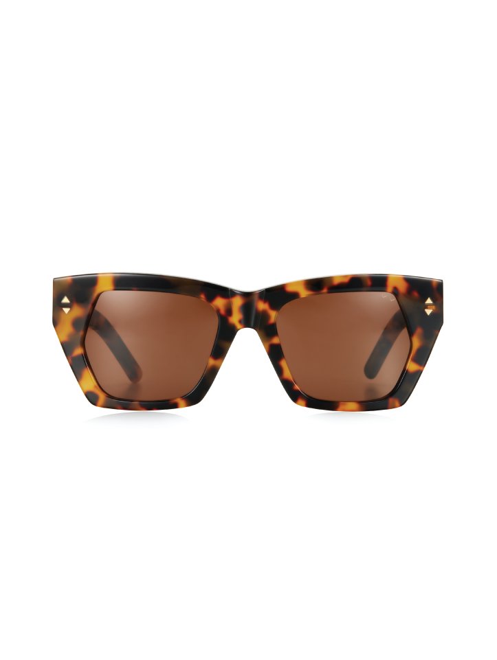 Lo & Behold - Tortoise - Pared Eyewear