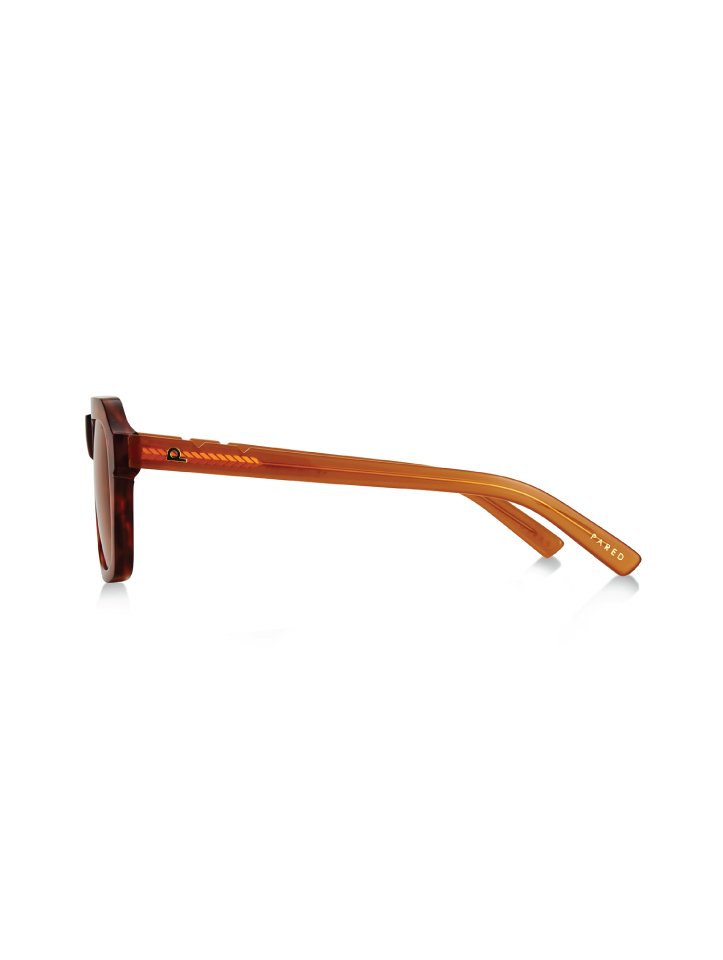 Nice & Easy - Havana Amber - Pared Eyewear