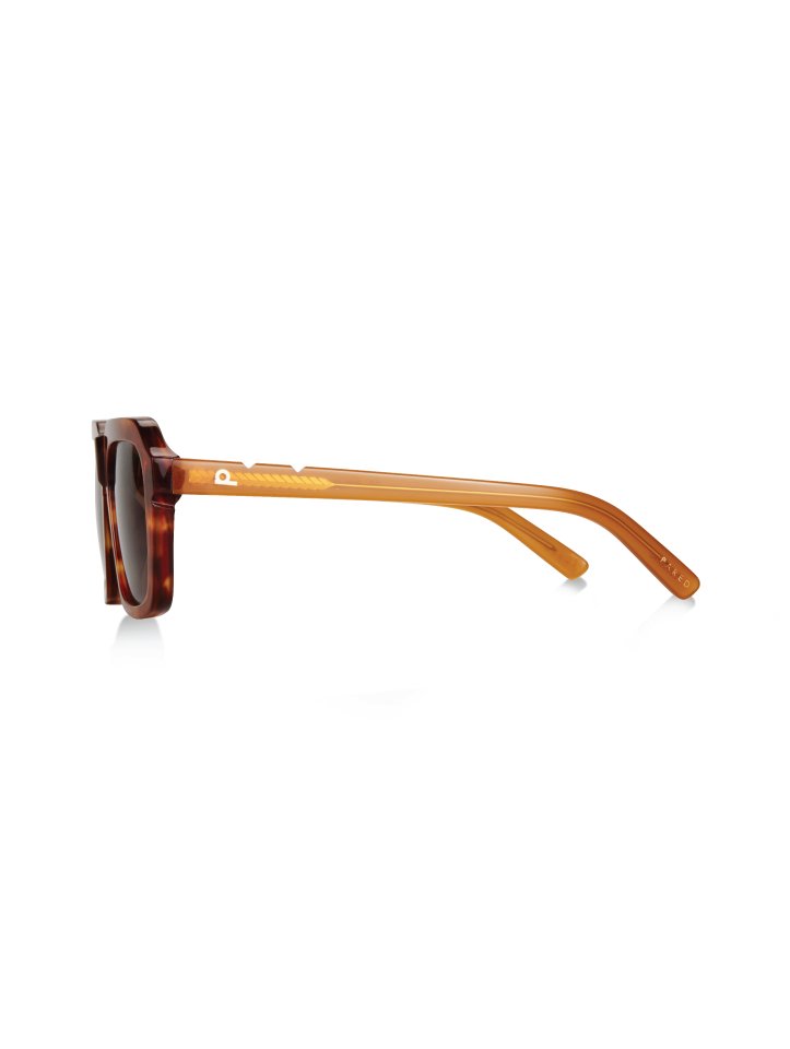 Nice & Easy - Havana Brown - Pared Eyewear