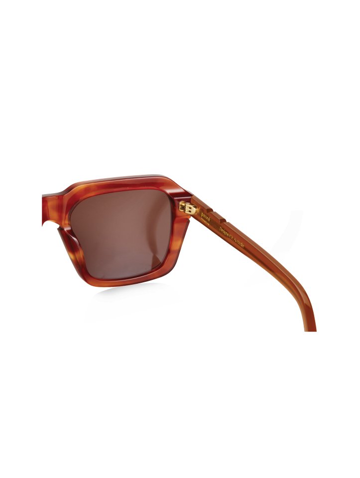 Nice & Easy - Havana Brown - Pared Eyewear