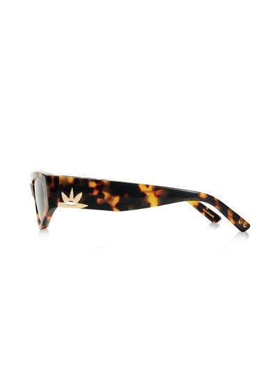 Soleil Soleil x Pared - RA Tortoise - Pared Eyewear