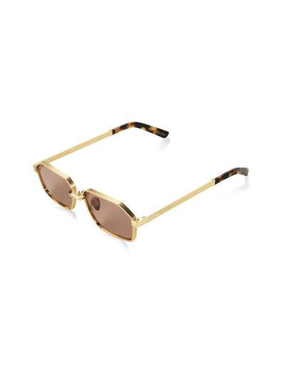 Wyld Blue x Pared Wylder - Gold/Brown - Pared Eyewear